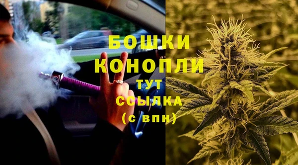 мдпв Струнино